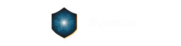 Synapse project